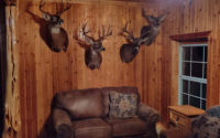 guest_house
