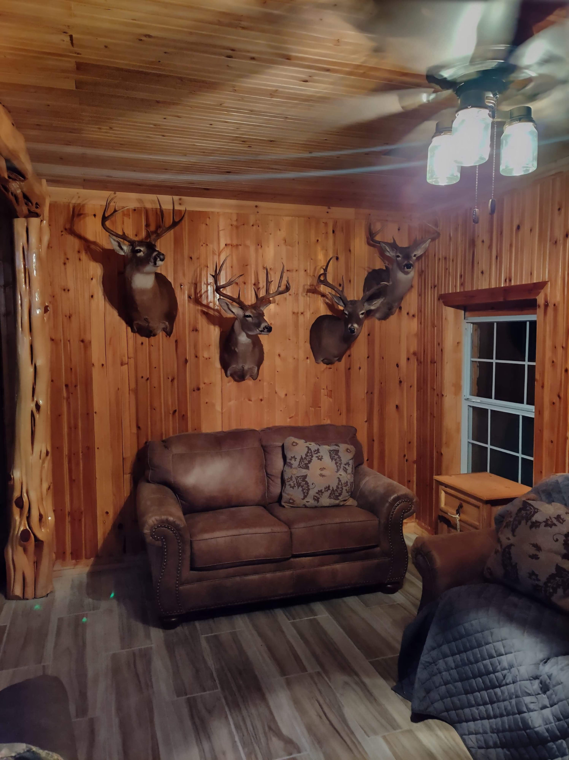 guest_house