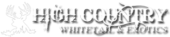 High Country Whitetail and Exotics